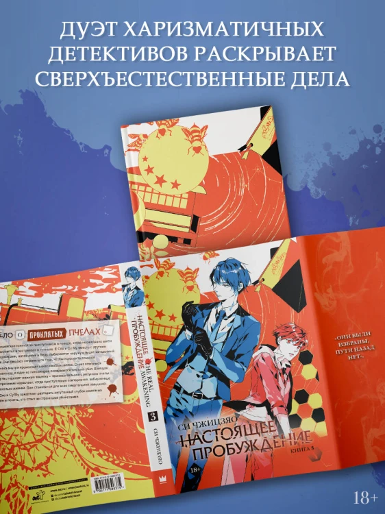 Настоящее пробуждение. Real Awakening. Книга 3