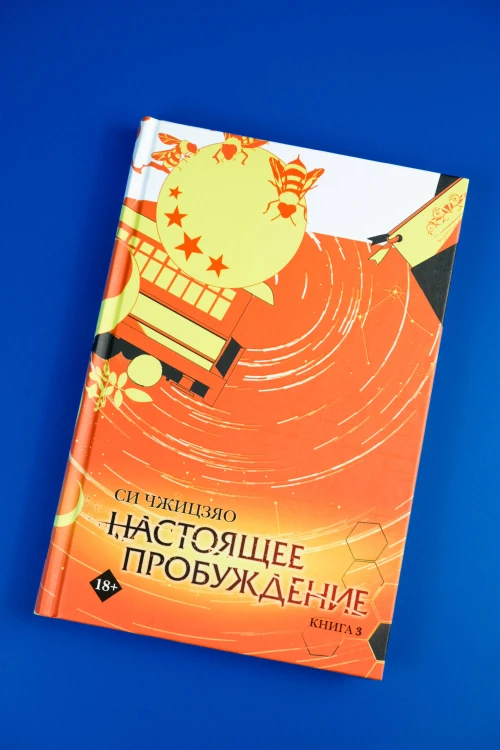 Настоящее пробуждение. Real Awakening. Книга 3