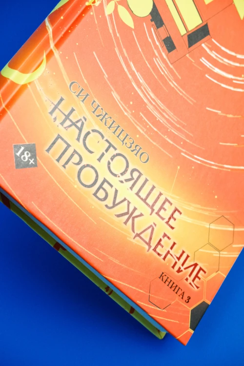 Настоящее пробуждение. Real Awakening. Книга 3