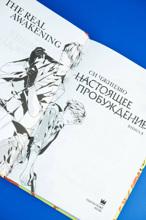 Настоящее пробуждение. Real Awakening. Книга 3