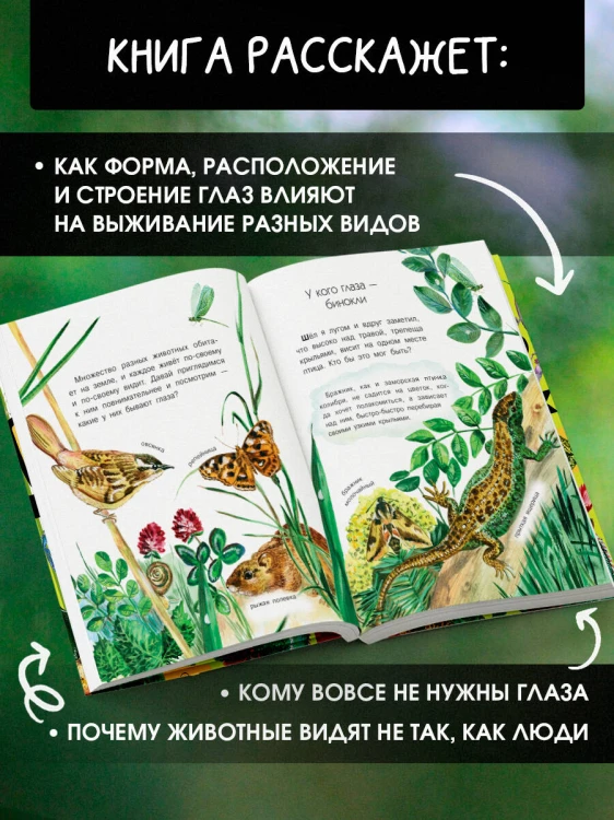 Кто как видит?