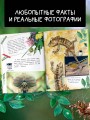 Кто как видит?