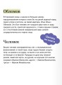 Обломов. Вечные истории. Young Adult