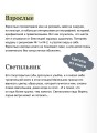 Маленький принц