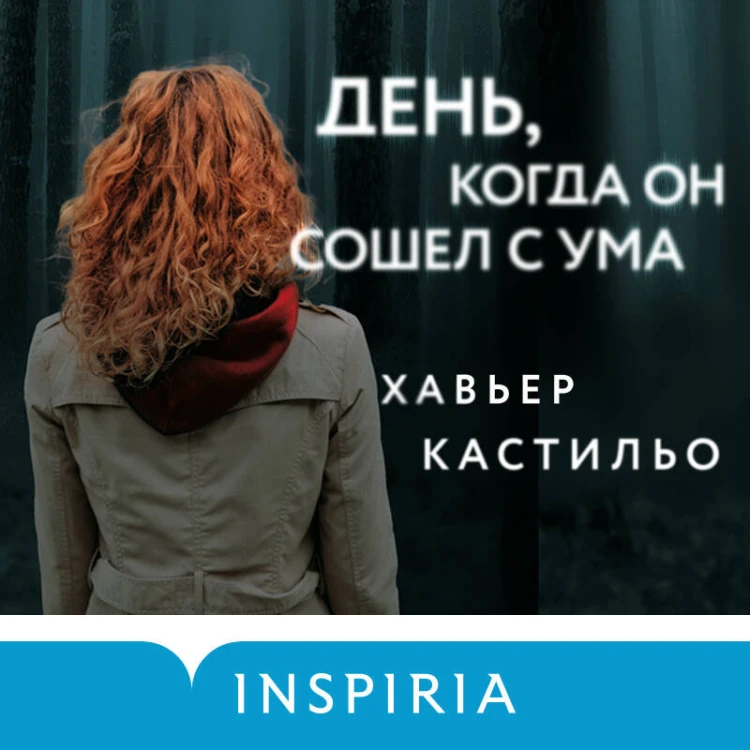 День, когда он сошел с ума