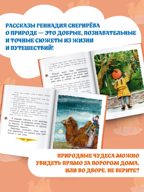Верблюжья варежка