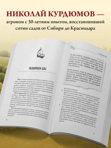 Обрезка и формировка деревьев и кустарников