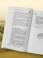 Обрезка и формировка деревьев и кустарников