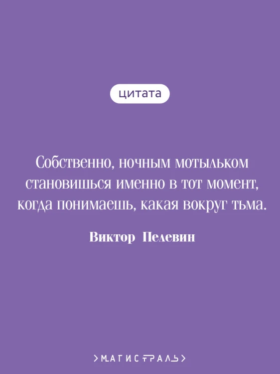 Жизнь насекомых
