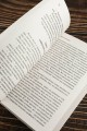 Остров пингвинов