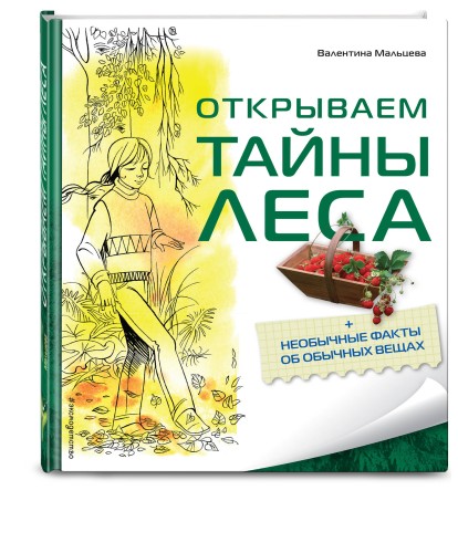 Открываем тайны леса