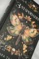 Зачарованная