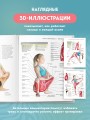 Анатомия йоги. 50 главных асан с анатомическими иллюстрациями, для начинающих и продвинутых