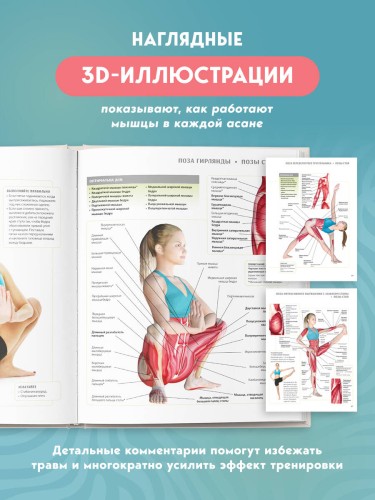 Анатомия йоги. 50 главных асан с анатомическими иллюстрациями, для начинающих и продвинутых