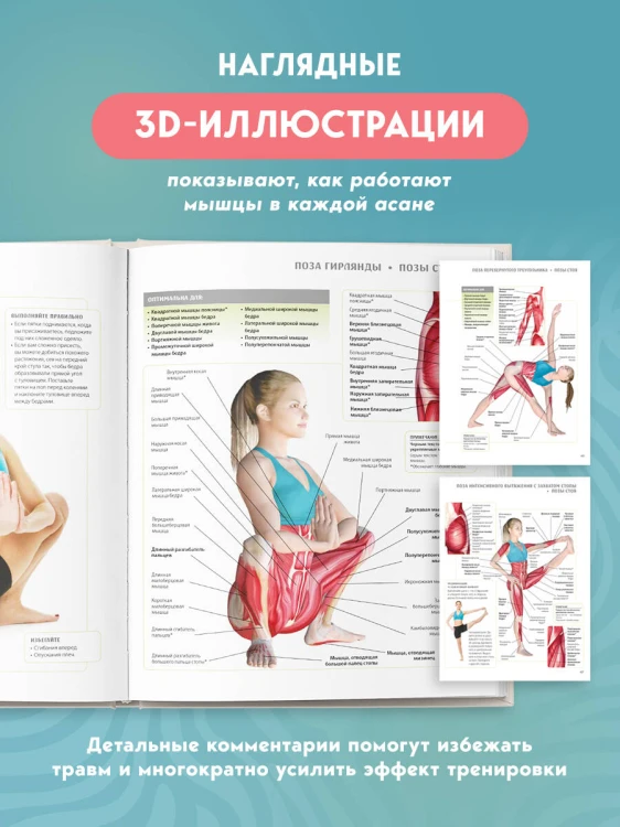 Анатомия йоги. 50 главных асан с анатомическими иллюстрациями, для начинающих и продвинутых