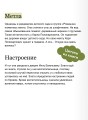 Где работает Яга?