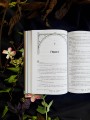 Черный лебедь, ставшая матерью принцессы-лебедя. Том 1