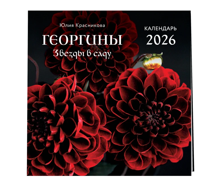 Георгины. Звезды в саду. Календарь настенный на 2026 год (300х300 мм)