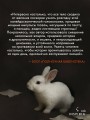 Убить Кролика Питера