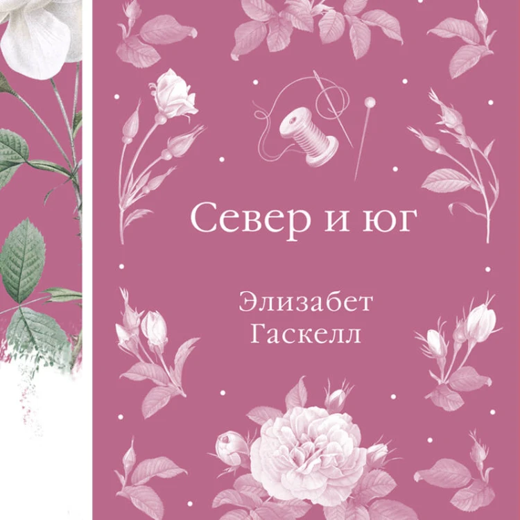 Север и юг