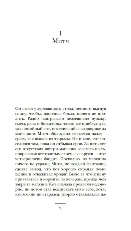 3.webp