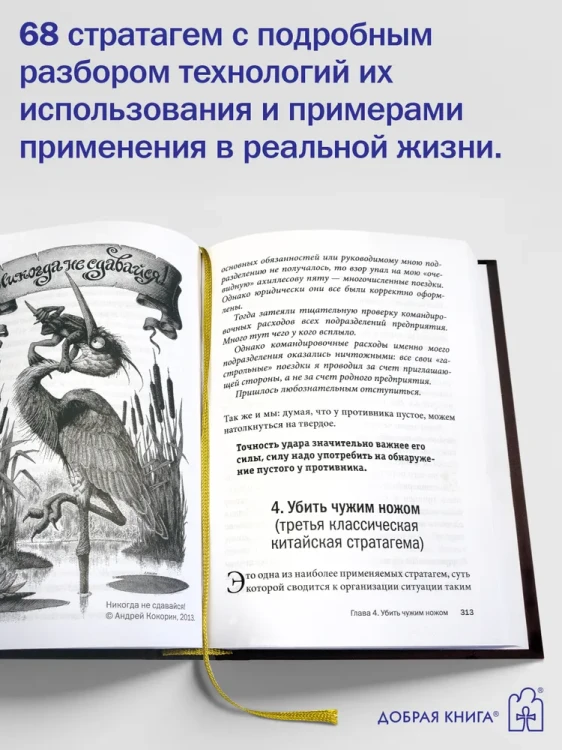 4.webp
