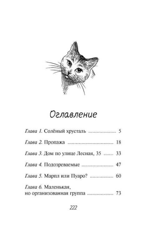 Расследование в кафе «Крендель с корицей»3.jpg