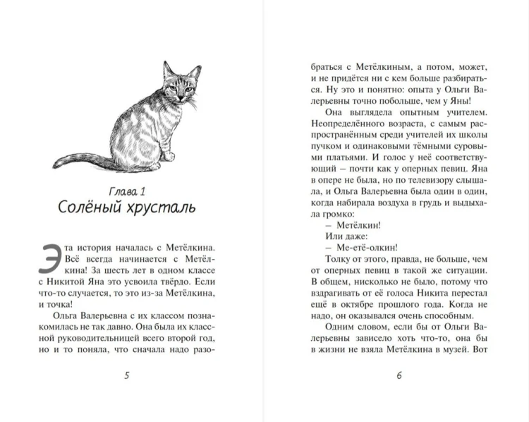 Расследование в кафе «Крендель с корицей»5.jpg