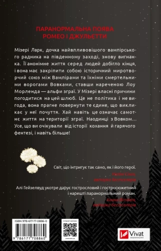 2.webp