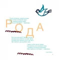 5.webp