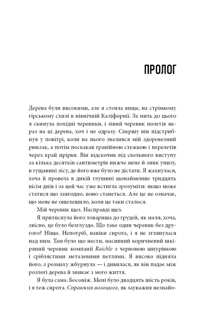 3.webp