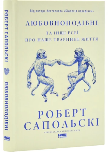 1.webp