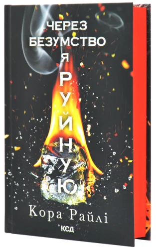 2.webp