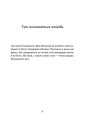 3.webp