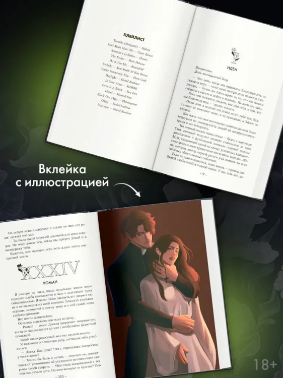3.webp