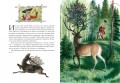 Приключения барона Мюнхгаузена (ил. Н. Устинова)