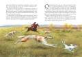 Приключения барона Мюнхгаузена (ил. Н. Устинова)