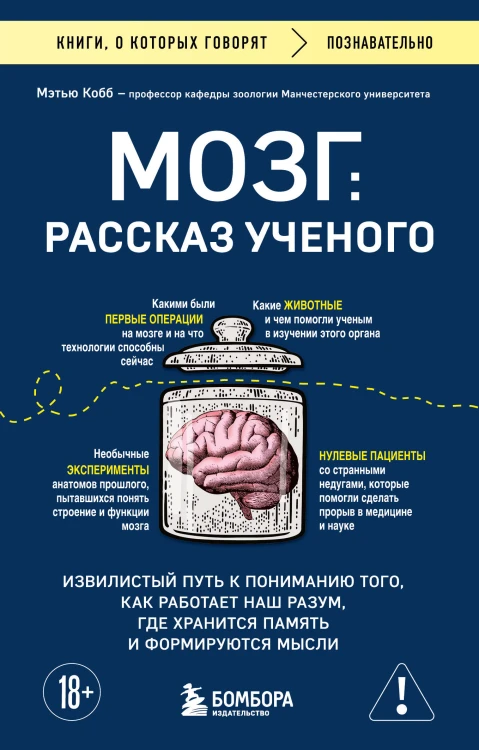 Мозг: рассказ ученого. Извилистый путь к пониманию того, как работает наш разум, где хранится память и формируются мысли