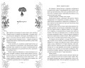 Узы магии. Дуэт с герцогом сирен (#4)