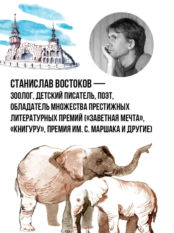 Не кормить и не дразнить! Рисунки В. Цепиловой