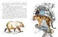 Не кормить и не дразнить! Рисунки В. Цепиловой