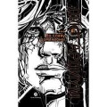 Дисгардиум. Книга 9 : Во славу доминиона!