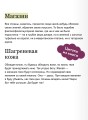 Шагреневая кожа. Вечные истории