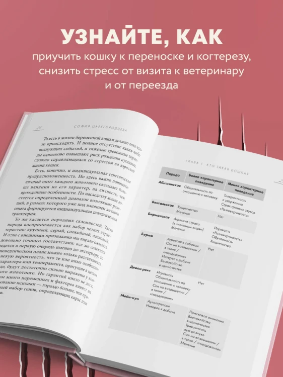 Кошачий закон и порядок. Как найти общий язык с кошкой и не стать жертвой ее капризов
