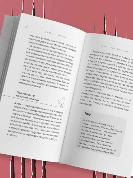 Кошачий закон и порядок. Как найти общий язык с кошкой и не стать жертвой ее капризов