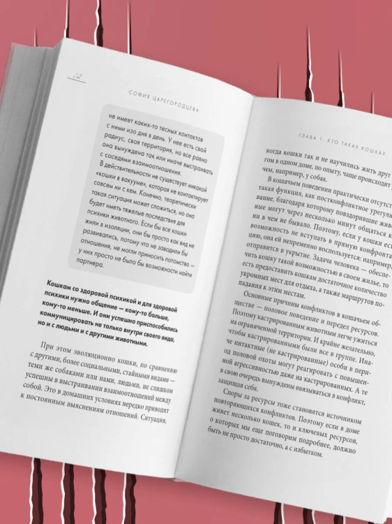 Кошачий закон и порядок. Как найти общий язык с кошкой и не стать жертвой ее капризов