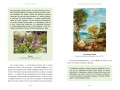 Зачарованный сад. Майское дерево, цветок папоротника и другие легенды о растениях