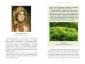 Зачарованный сад. Майское дерево, цветок папоротника и другие легенды о растениях