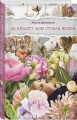 За красоту мою отняли жизнь