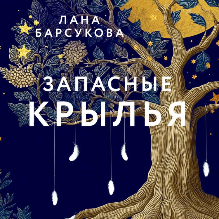 Запасные крылья
